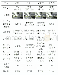 表1 四个方案综合比选：城市高架桥梁拼宽方案比选