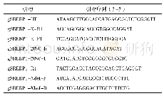 表1 鸡Srebp1基因的扩增引物