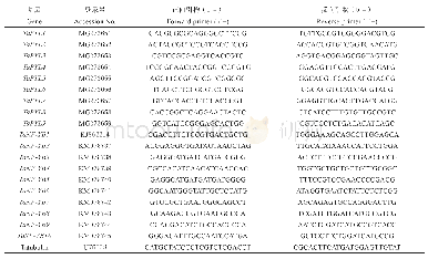 《表1 使用PCR引物：耐盐小麦品种应答盐分逆境的差异表达基因鉴定》