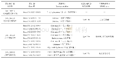 表1 WT-VS-MT差异表达基因GO和KEGG分析