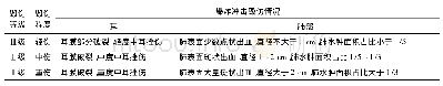 《表1 冲击波毁伤等级划分情况》