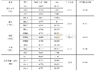 表4 聚合效度与区别效度检验结果