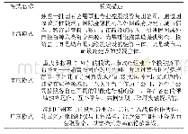 表1 国内投融资平台运作模式