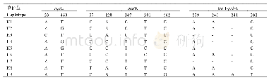 表4 3个cpDNA序列共产生9个单倍型的变异位点