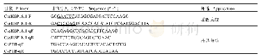 表1 引物序列：茶树CssHSP18.1基因克隆及表达分析