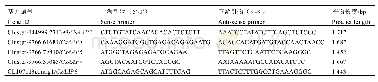 表1 基因克隆引物：茶树CsAAPs亚家族基因的克隆与表达分析