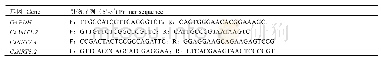 《表1 q RT-PCR荧光定量引物序列的信息》