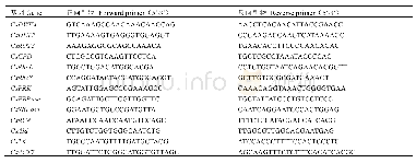 《表1 RT-q PCR引物序列》