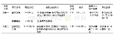 表3 平安养老保险股份有限公司资阳中心支公司个人账户购买商业保险产品方案