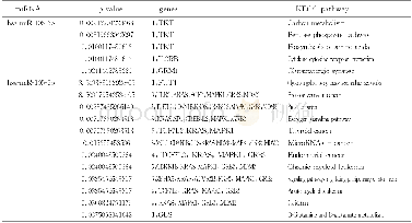 《表4 hsa-miR-105靶基因KEGG通路富集分析Tab.4 KEGG pathway enrichment of the hsa-miR-105》