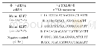 《表2 薪酬水平政策选择：转录因子KLF7对IL-6基因的转录调控分析》