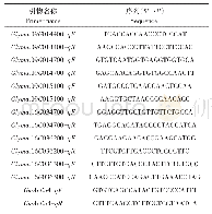 《表1 q RT-PCR引物》