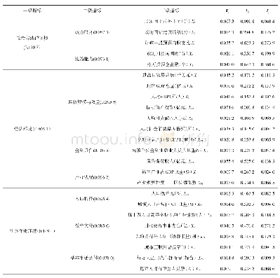 《表2 最终评价指标体系及其权重》