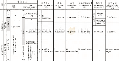 《表1 中扬子区庙坡组笔石生物地层与全球其他主要块体的同期地层对比表Tab.1 Graptolite biostratigraphic correlation of the Miaopo Format