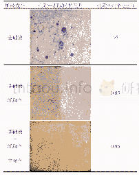 《表3 无氰光亮碱铜镀液中加入不同添加剂后所得铜镀层 (2μm) 的孔隙率测试结果》