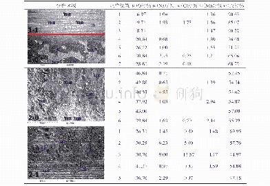 表5 焊管及其焊缝处涂覆与未涂覆防锈剂部位经过24 h盐雾试验后的EDS结果