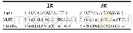 《表1 内参β-actin、NRSN2和EBV-DNA引物序列》