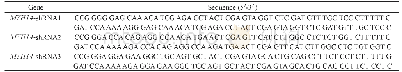 《表2 MYH14-shRNA的DNA序列Tab 2 DNA sequences of MYH14-shRNA》