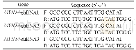 《表3 引物序列Tab 3 Primer sequences》