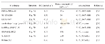 《表1 含亲水支链PEMs的IEC值和质子导电性对比》