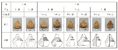 《表1 0 四塔·红泥胎：武威亥母寺遗址出土擦擦类型学研究》
