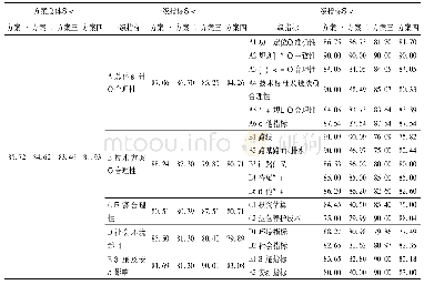 《表8 综合评价结果———层次分析法》