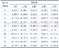 表5 前景价值矩阵：基于改进TOPSIS的新能源大数据服务项目评价研究