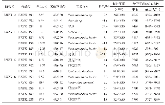 表2 研究区钻孔测年结果表Tab.2 Dating results of boreholes in the study area