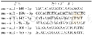《表1 mi RNA名称及序列Tab 1 mi RNA name and sequence》
