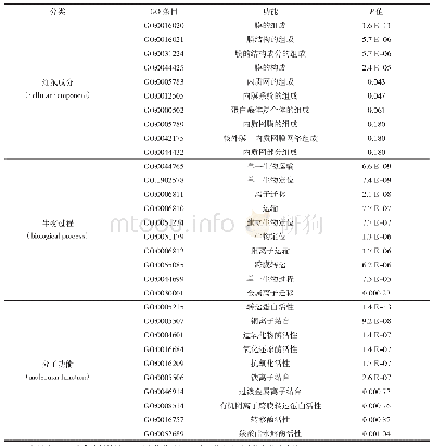 表1 所有盐碱反应性mi RNA靶基因的GO功能分类