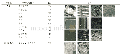 表1 样本影像集示例Tab.1 Images set of samples