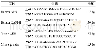 《表1 PCR引物序列与长度》