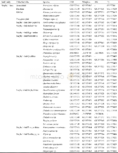 《Table S1.Species of the subfamily Staphylininae and related taxa included in the molecular analysis