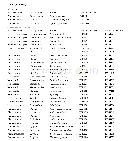 《Table S2.Data of heteropteran species downloaded from GenBank used in assembling sequences.》