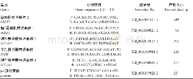 表2 基因引物序列Table 2 Primer sequences of genes