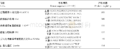 表3 基因引物序列Table 3 Prim er sequences of genes