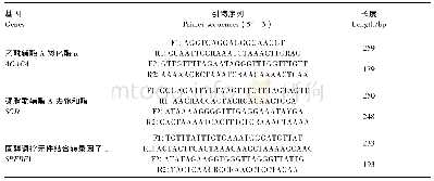 《表3 甲基化引物序列及参数》