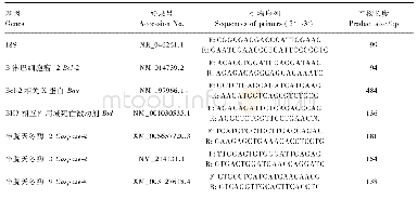 表1 主要凋亡基因及内参基因18S的引物参数