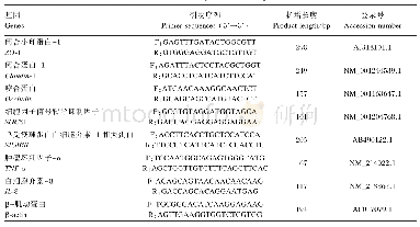 表1 相关基因的引物序列