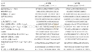 表1 基因的引物序列：枯草芽孢杆菌RZ001对乳鼠肠道发育、肠道菌群和Wnt信号通路相关基因表达的影响