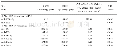 表6 差异表达miRNA