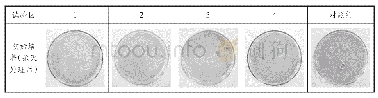 《表4 卧佛试验区微生物杀灭及防治研究定期观察结果》