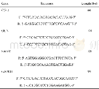 表1 成骨相关基因COLI、OCN、Runx2基因的序列Tab.1 Gene sequences of osteogenesis-related genes COLI, OCN, and Runx2