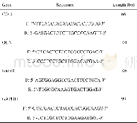 《表1 成骨相关基因COLI、OCN、Runx2基因的序列Tab.1 Gene sequences of osteogenesis-related genes COLI, OCN, and Runx2