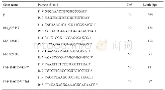 表1 qRT-PCR验证的引物序列