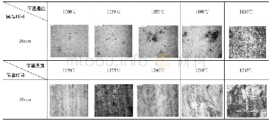 表2 相同保温时间不同温度下的金相图