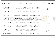 表1 PCV3特异基因扩增引物