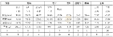 《表一石器分类测量与统计》