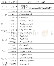 《表7 河北唐山地区寒武纪海相红层的层序及时代》