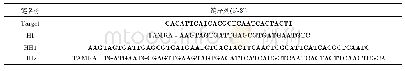 表1 DNA链序列：基于氧化石墨烯与金属离子的逻辑模型设计与可控性验证